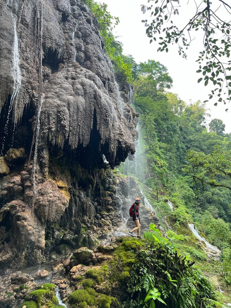 Moment of @honeyginger